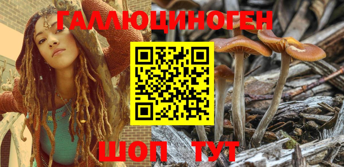 Галлюциногенные грибы MAGIC MUSHROOMS Лыткарино