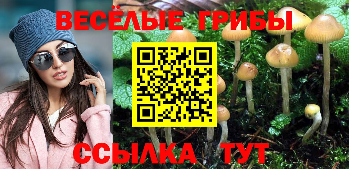 Лыткарино  Галлюциногенные грибы MAGIC MUSHROOMS  даркнет сайт  Вход с VPN 