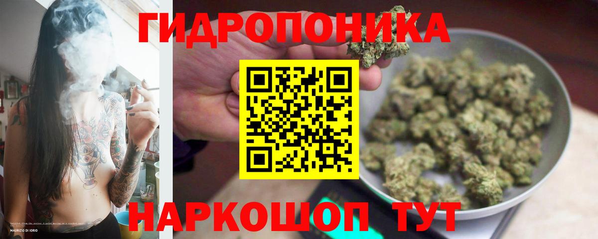 Каннабис White Widow  Вход с VPN  Лыткарино  Бошки марихуана гибрид  Марихуана марихуана 